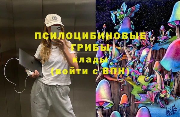 Альфа ПВП Аркадак