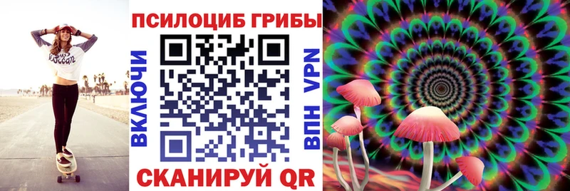 Псилоцибиновые грибы ЛСД  Купить закладки  Берёзовский 